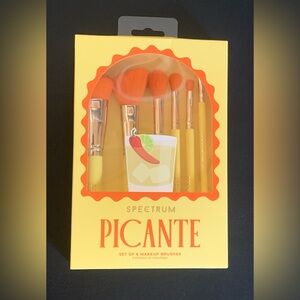 New Spectrum Picante 6 Piece Makeup Brush Set